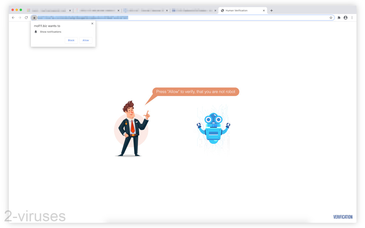 Mol11.biz shows a request to show notifications.