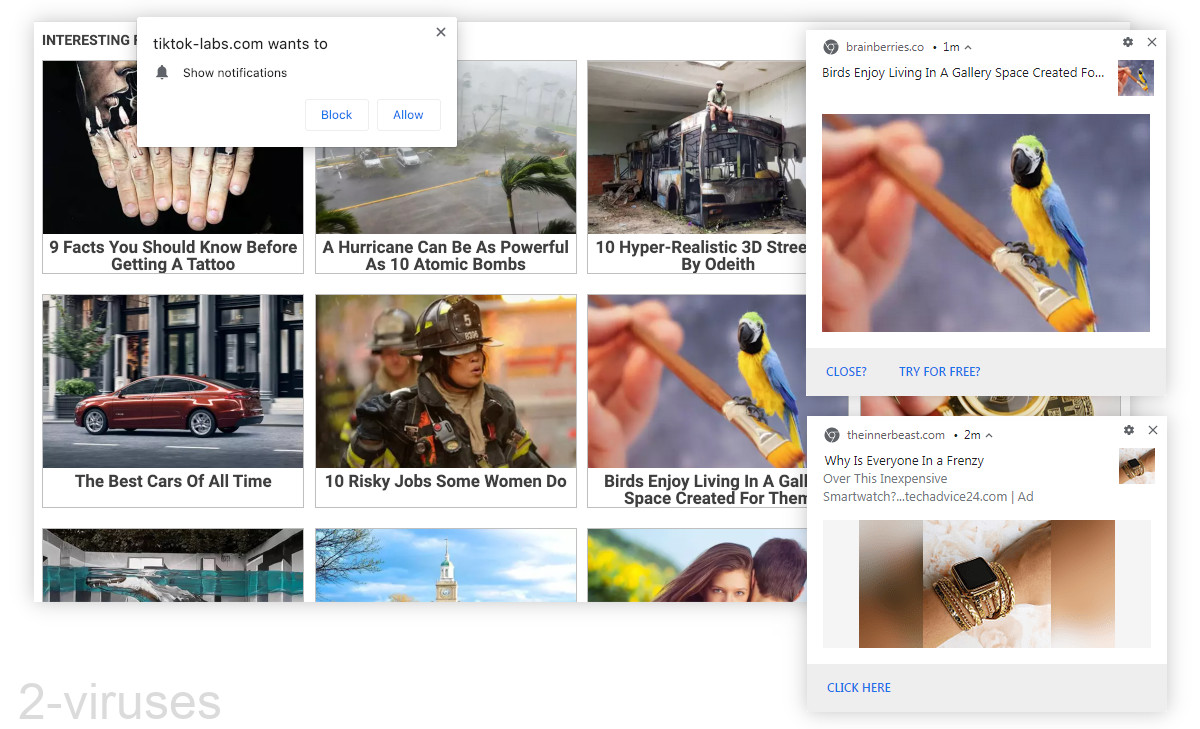 Tiktok-labs.com shows articles and leads to clickbait.