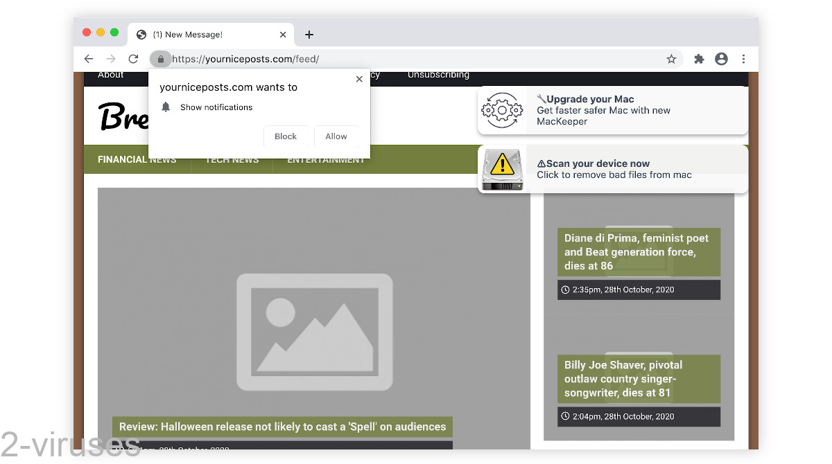 Yourniceposts.com looks like a news site, kind of.