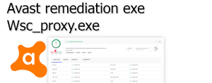 Avast Remediation Exe