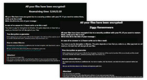 Ziggy Ransomware